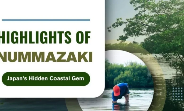 Highlights of Nummazaki