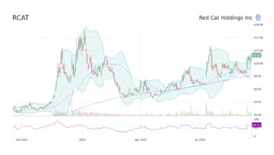 RCAT Stock