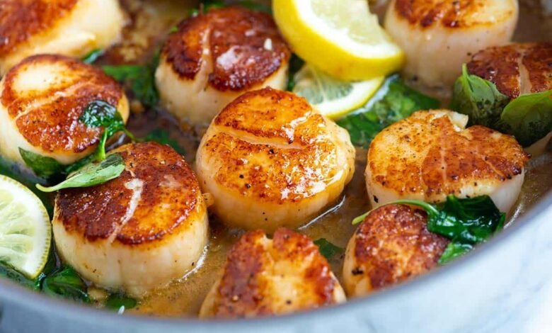 Scallops