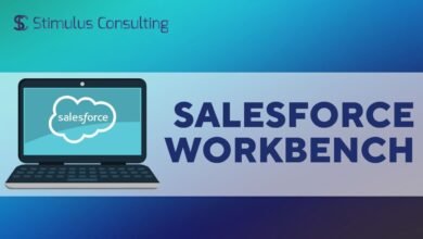 Salesforce Workbench