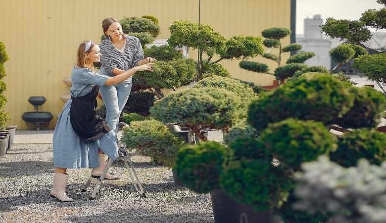 robert mygardenandpatio