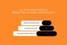 Pragmatic Hoki22.com