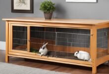 Indoor Rabbit Hutch