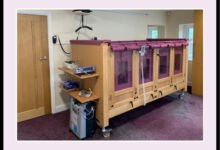 Cot Beds for Adults